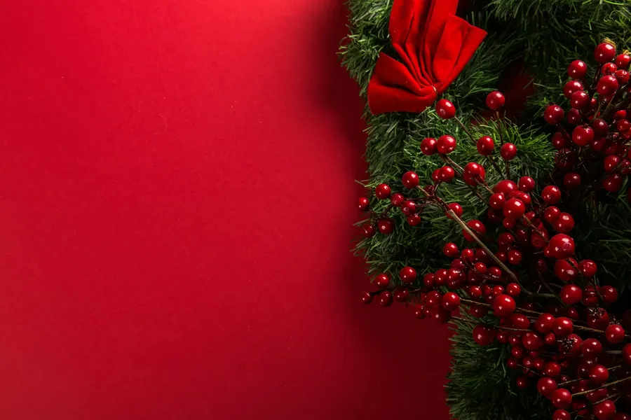 Deep red roses for Christmas