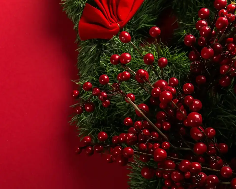Deep red festive berries for Christmas