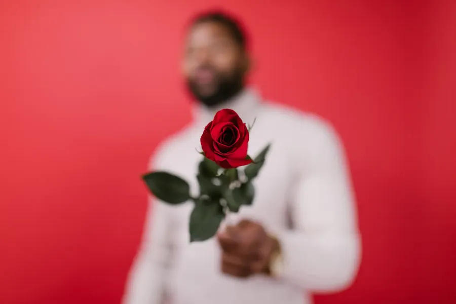 Red roses for Valentine's Day